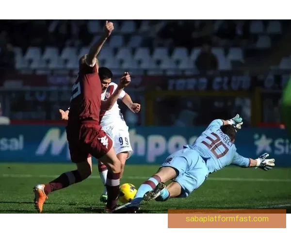 沙巴体育APP全面解析 提供丰富赛事信息和便捷投注体验